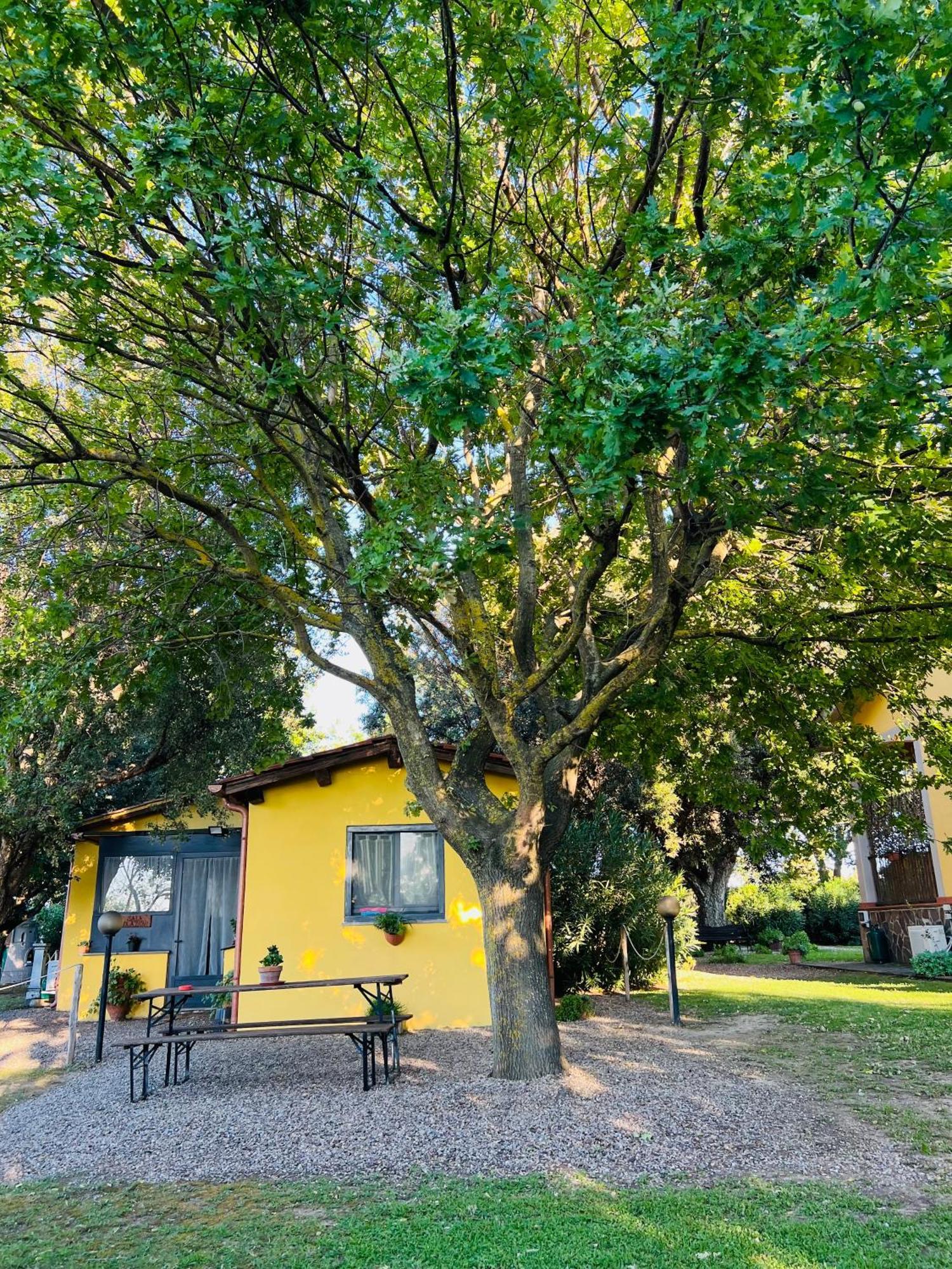 Il Melarancio Bed and Breakfast Pescia Romana Buitenkant foto